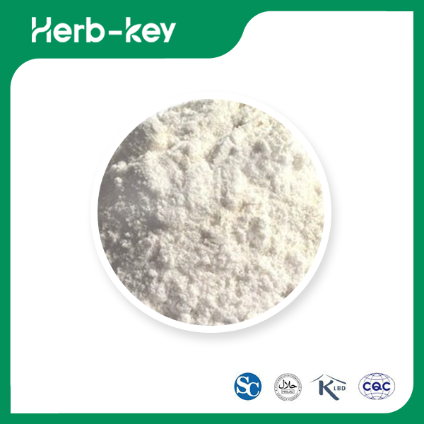 Dextrin (pharmazeutischer Hilfsstoff)