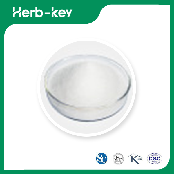 Reines Kreatin-Monohydrat-Pulver
