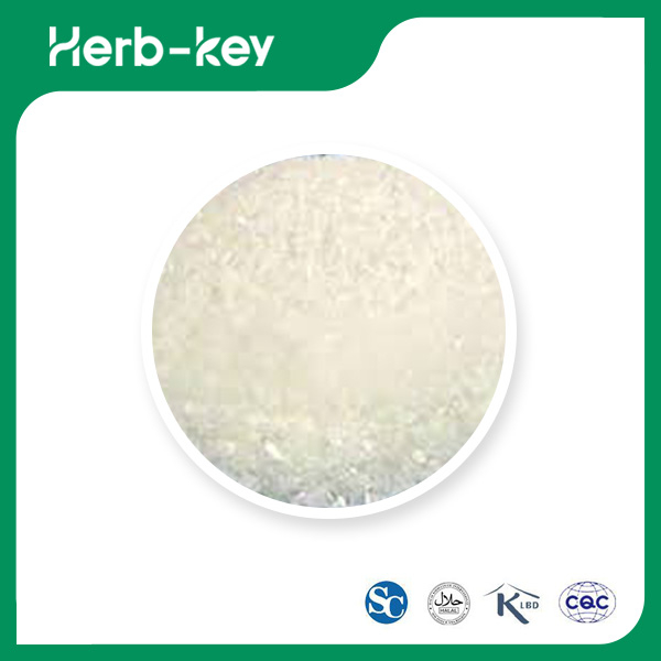 L Tetrahydropalmatin