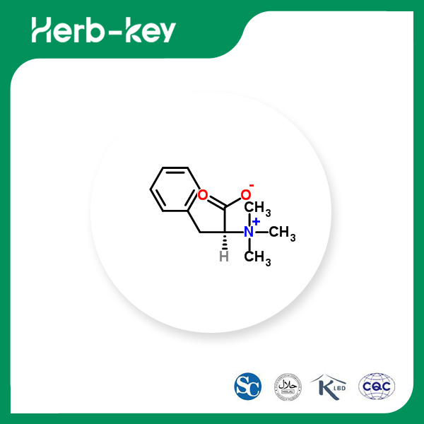 Phenylalanin Betain