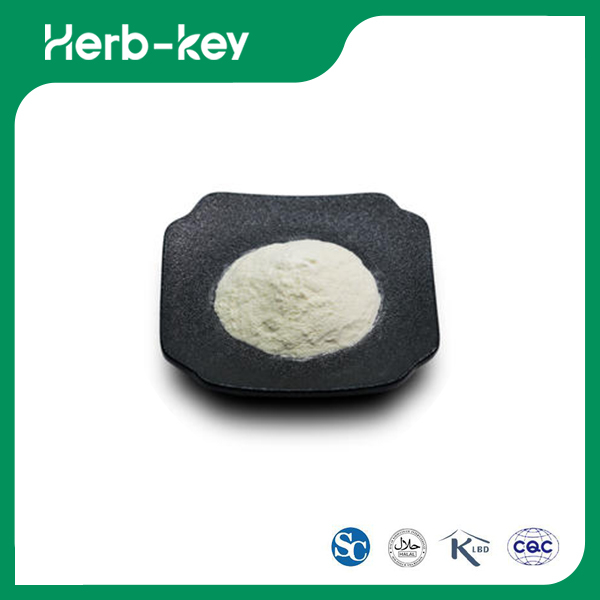 Erbsenproteinpulver auf pflanzlicher Basis