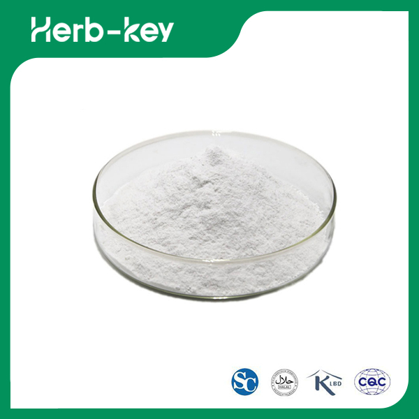 Chondroitinsulfat-Pulver