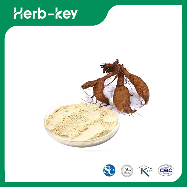 Pueraria Mirifica Extrakt Puerarin 80% 