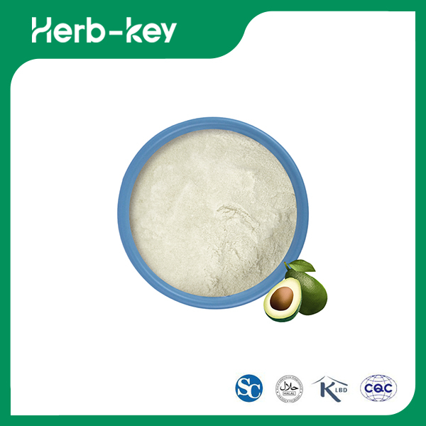 Avocadosaftpulver 