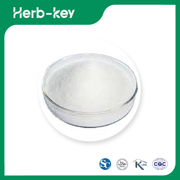 Reines Stevia-Extrakt-Pulver