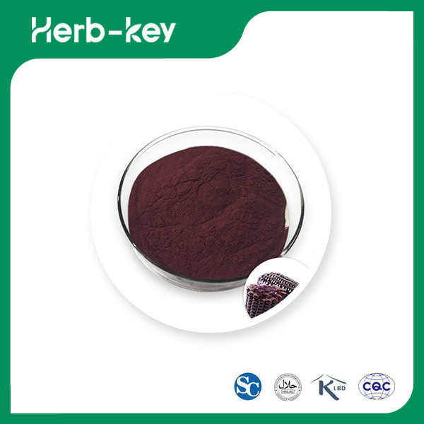 Lila Maisextraktpulver Anthocyanidine
