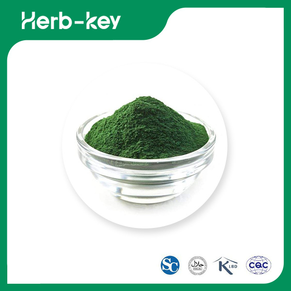 Spirulina-Pulver