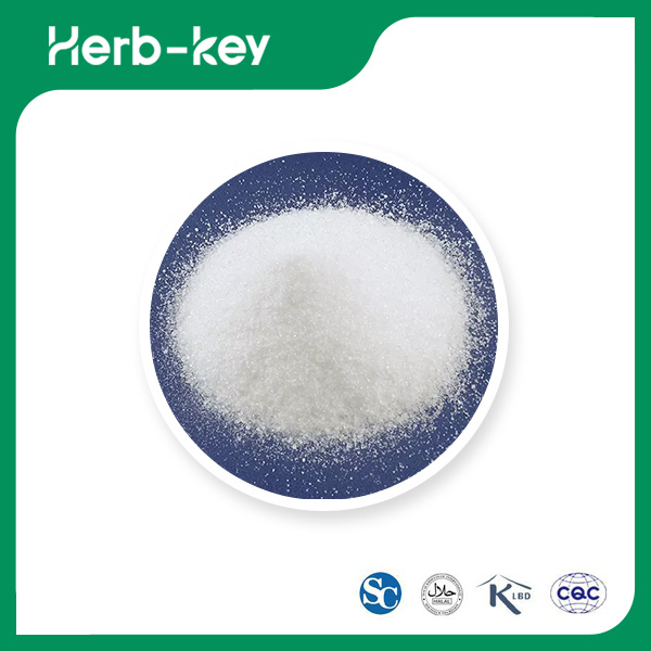 Polyacrylharz III Medizinische Hilfsstoffe